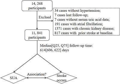 Prospective Study of Serum Uric Acid Levels and First Stroke Events in Chinese Adults With Hypertension